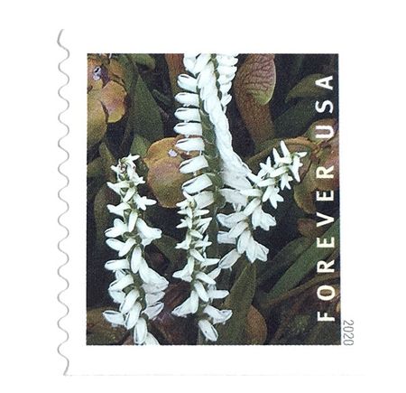 100 White Flower Forever Stamps Green and White Flowers Forever Postage For Mailing
